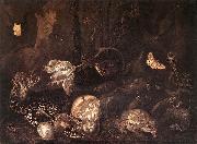 SCHRIECK, Otto Marseus van Still-Life with Insects and Amphibians ar